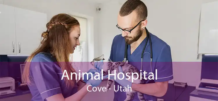 Animal Hospital Cove - Utah