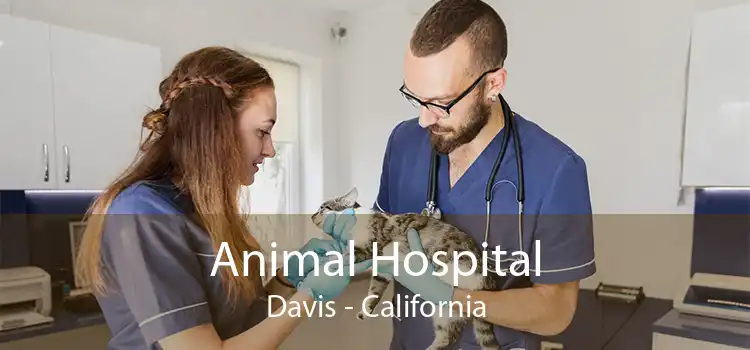 Animal Hospital Davis - California