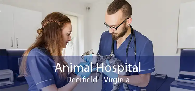 Animal Hospital Deerfield - Virginia