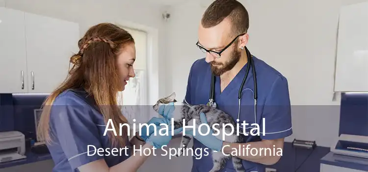Animal Hospital Desert Hot Springs - California