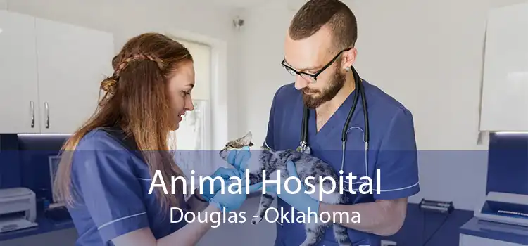 Animal Hospital Douglas - Oklahoma