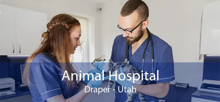 Animal Hospital Draper - Utah