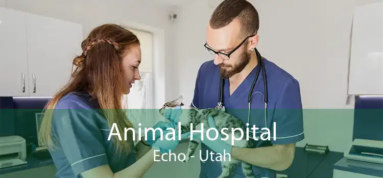 Animal Hospital Echo - Utah