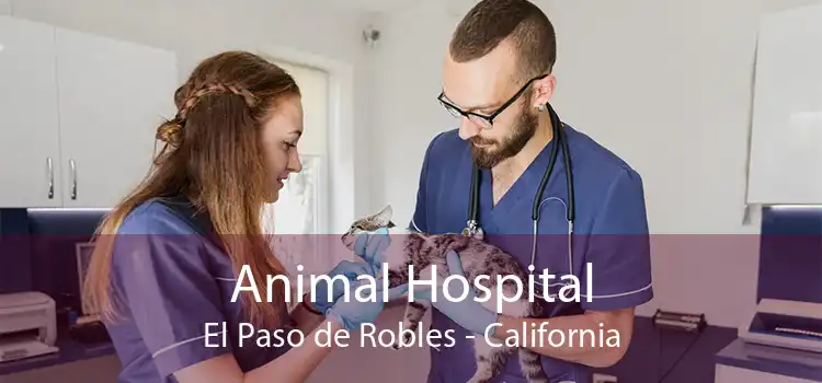 Animal Hospital El Paso de Robles - California