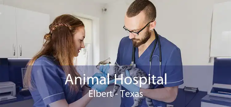 Animal Hospital Elbert - Texas