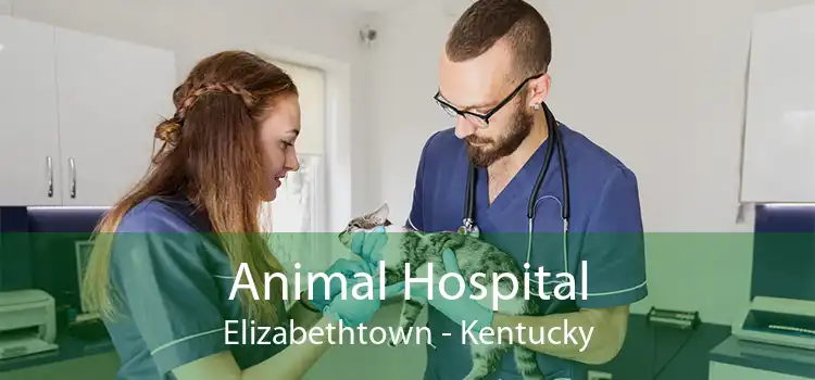 Animal Hospital Elizabethtown - Kentucky