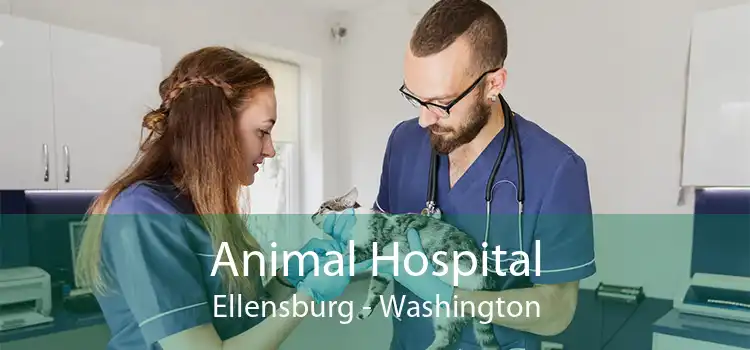 Animal Hospital Ellensburg - Washington