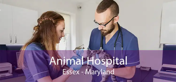 Animal Hospital Essex - Maryland