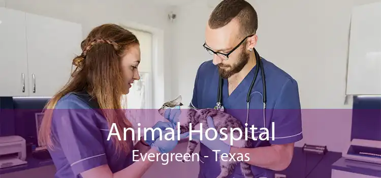Animal Hospital Evergreen - Texas