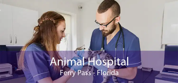 Animal Hospital Ferry Pass - Florida