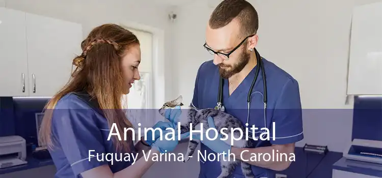 Animal Hospital Fuquay Varina - North Carolina