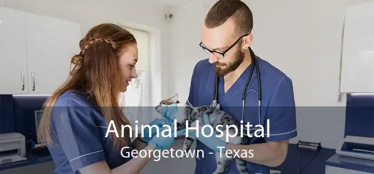 Animal Hospital Georgetown - Texas
