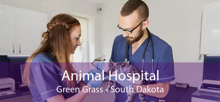 Animal Hospital Green Grass - South Dakota