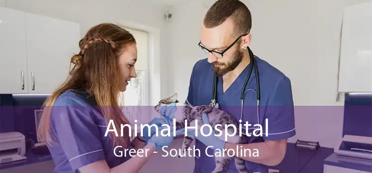 Animal Hospital Greer - South Carolina