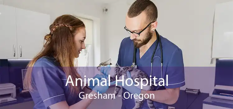 Animal Hospital Gresham - Oregon