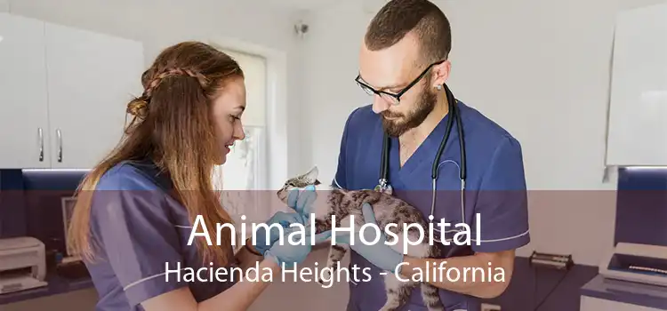 Animal Hospital Hacienda Heights - California