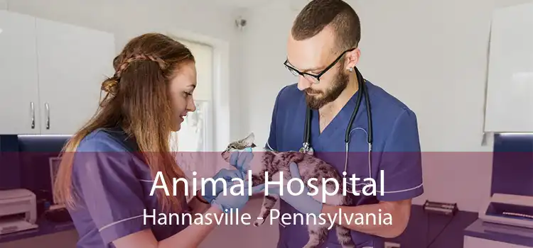 Animal Hospital Hannasville - Pennsylvania
