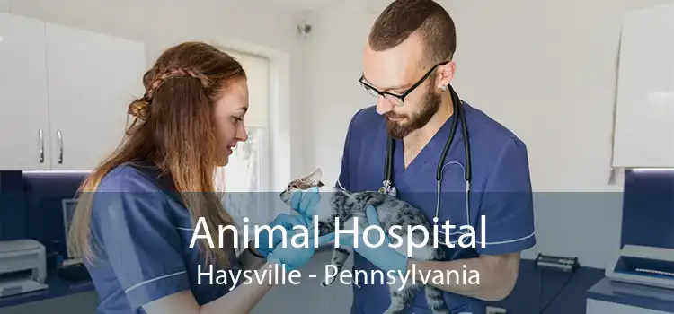 Animal Hospital Haysville - Pennsylvania