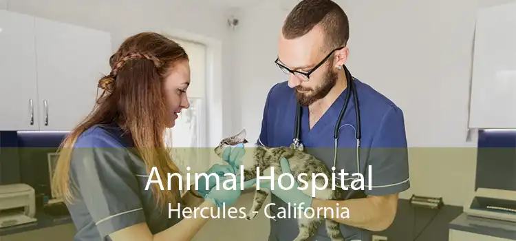 Animal Hospital Hercules - California