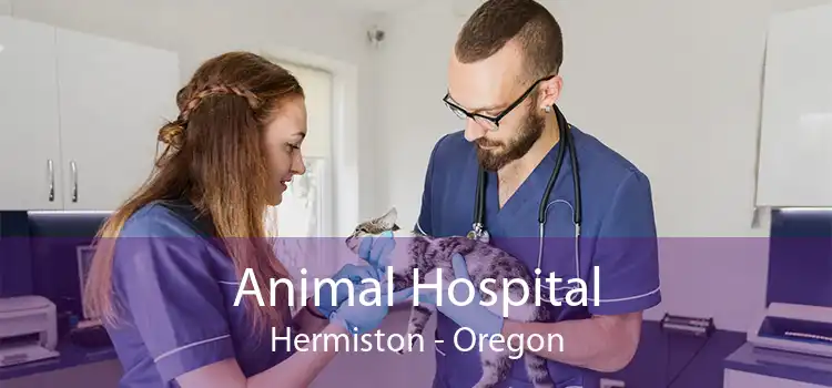 Animal Hospital Hermiston - Oregon