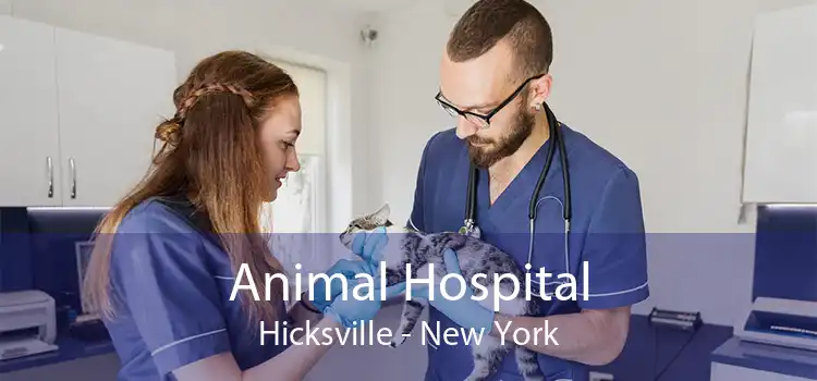 Animal Hospital Hicksville - New York