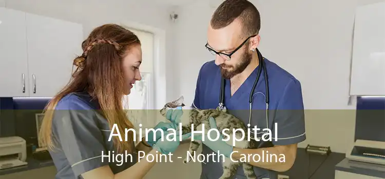 Animal Hospital High Point - North Carolina