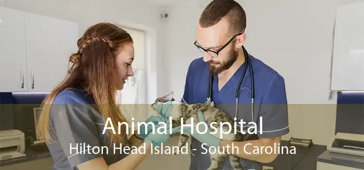Animal Hospital Hilton Head Island - South Carolina