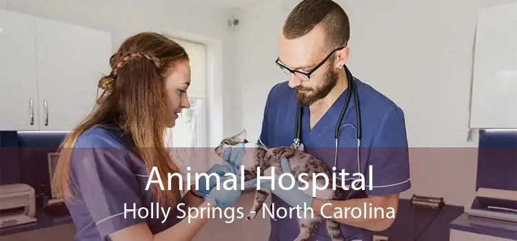 Animal Hospital Holly Springs - North Carolina