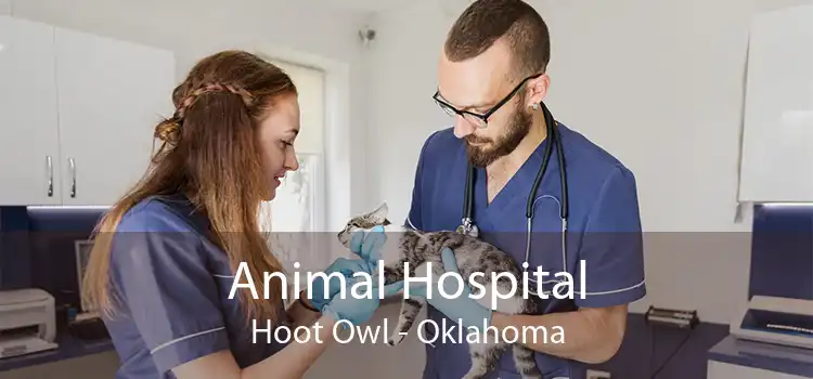 Animal Hospital Hoot Owl - Oklahoma