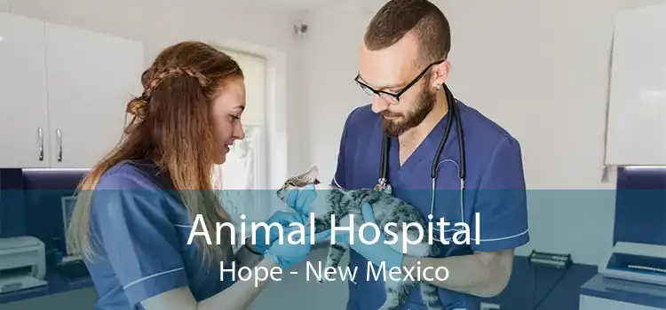 Animal Hospital Hope - New Mexico