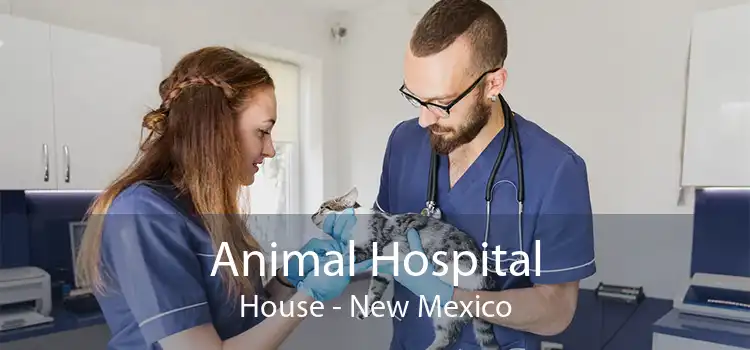 Animal Hospital House - New Mexico