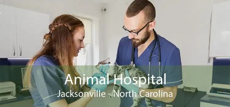 Animal Hospital Jacksonville - North Carolina