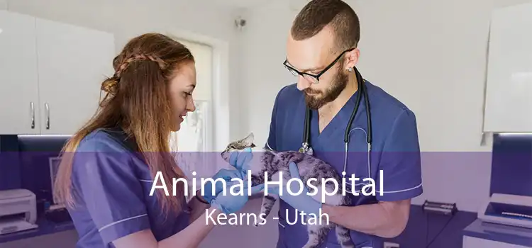 Animal Hospital Kearns - Utah