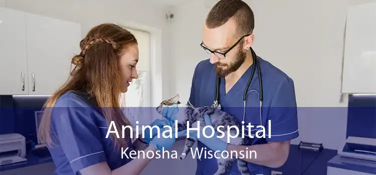 Animal Hospital Kenosha - Wisconsin