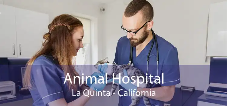 Animal Hospital La Quinta - California