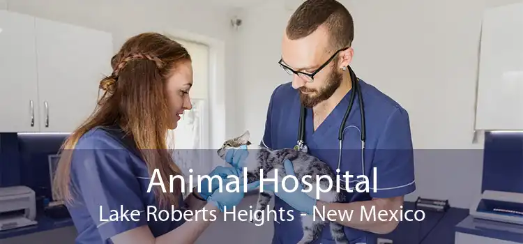 Animal Hospital Lake Roberts Heights - New Mexico