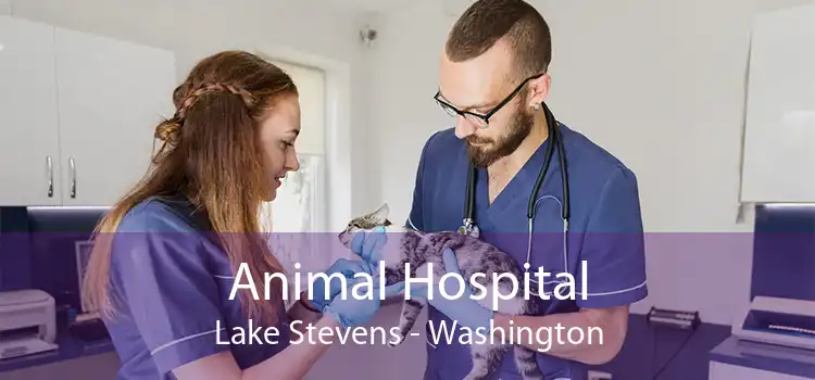 Animal Hospital Lake Stevens - Washington