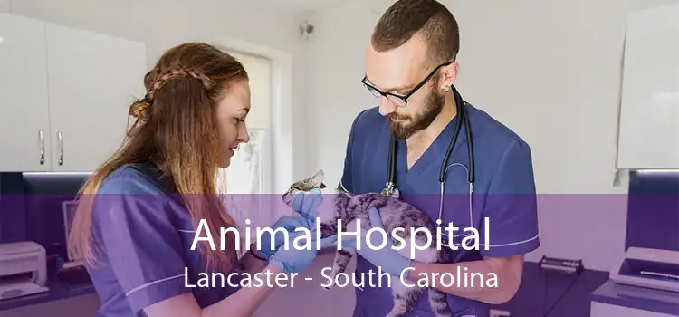 Animal Hospital Lancaster - South Carolina