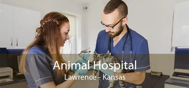 Animal Hospital Lawrence - Kansas