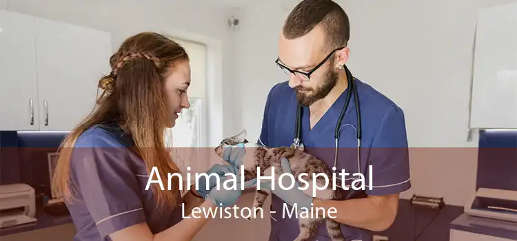 Animal Hospital Lewiston - Maine