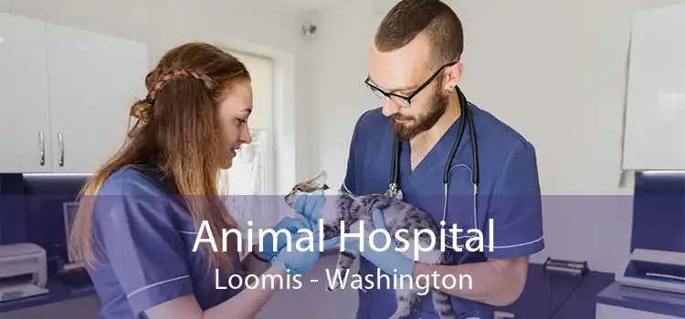Animal Hospital Loomis - Washington