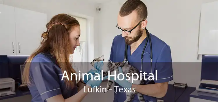 Animal Hospital Lufkin - Texas