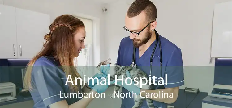 Animal Hospital Lumberton - North Carolina