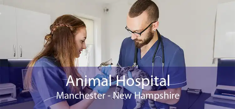 Animal Hospital Manchester - New Hampshire