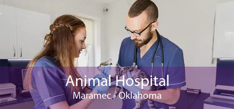 Animal Hospital Maramec - Oklahoma