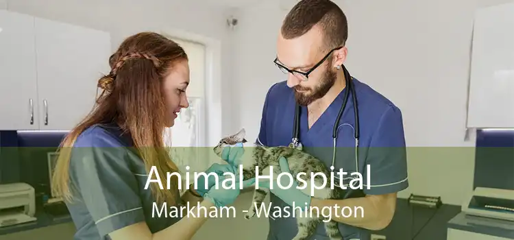 Animal Hospital Markham - Washington