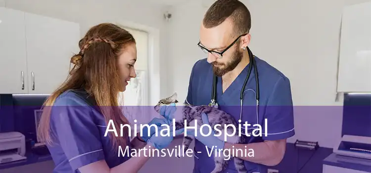Animal Hospital Martinsville - Virginia
