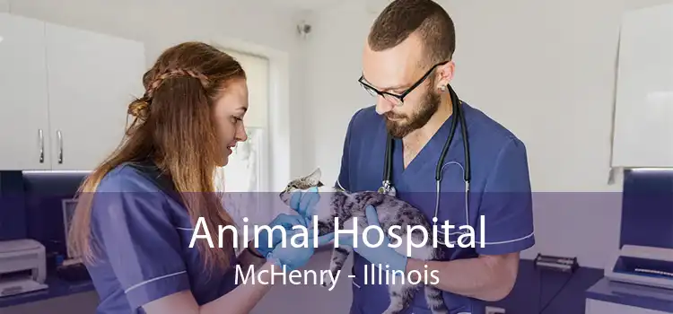 Animal Hospital McHenry - Illinois