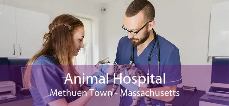 Animal Hospital Methuen Town - Massachusetts