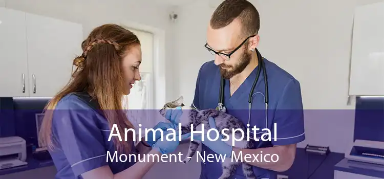 Animal Hospital Monument - New Mexico